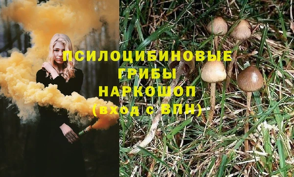 трава Усинск